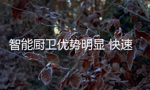 特别是快速开放式的厨房