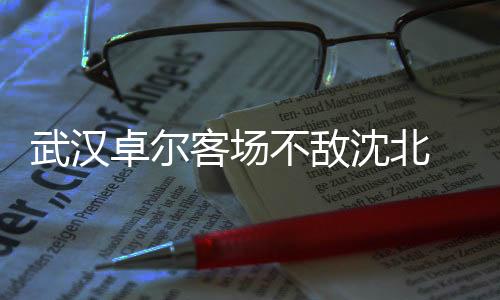 在主场3:1取胜武汉卓尔
