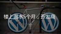 楼上漏水5个月	，开发商和邻居“踢皮球”，法院这样判→