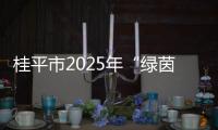桂平市2025年“绿茵逐梦・‘足’够快乐”乡村足球自由赛开幕