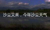 快排公司十年历程，霸屏兔 seo 的崛起与坚守
