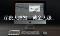 深夜大爆发
！黄金大涨�，现货白银创14年新高�！美股全线跳水