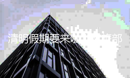清明全程系好平安带