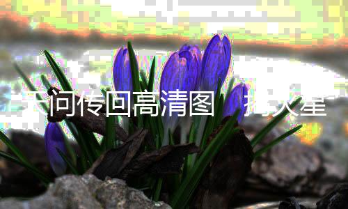 画面为火星北极区域