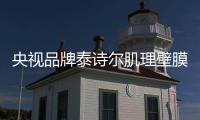 央视品牌泰诗尔肌理壁膜 让生活之花活灵活现
