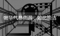 奢华气息侧漏，如此简洁竟还显得这么高贵!