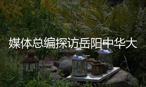 是探访天花岳阳中华大熊猫苑