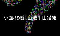 小面积摊铺首选丨山猫摊铺机为何如此厉害	？