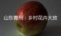 山东青州：乡村花卉大放异彩 以花为“媒”趟出致富路