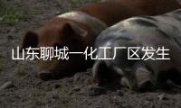 山东聊城一化工厂区发生爆炸
，致5死1伤1失联