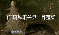 山东聊城阳谷县一养殖场发现炭疽病例
，接触者已隔离治疗