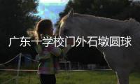 广东一学校门外石墩圆球加设钢管护栏，网友质疑多此一举�，学校回应�
	：是出于安全考虑，加装为防车辆撞击