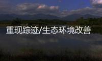 重现踪迹/生态环境改善 东北王者归来
