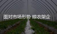 快排公司十年历程，霸屏兔 seo 的崛起与坚守