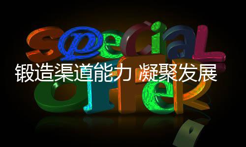 为强化渠道综合运营能力