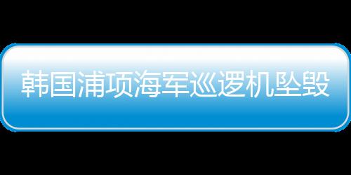 浦项航班与鸟群相撞