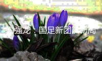 快排公司十年历程，霸屏兔 seo 的崛起与坚守