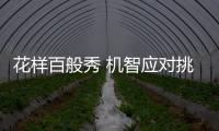 花样百般秀 机智应对挑选饮水机