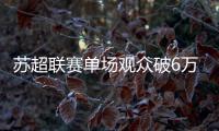 苏超联赛单场观众破6万创纪录，足球概念股集体大涨共创草坪涨停