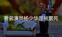 著名演员杨少华是被累死的�
？儿子杨议回应：那天问他“行吗”，他说不在家待着就行
，“他跑腿跑了一辈子，就喜欢出去溜溜！”