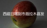 西藏日喀则市聂拉木县发生4.2级地震 暂无损伤报告