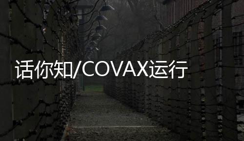 优先提供给卫生保健工作者