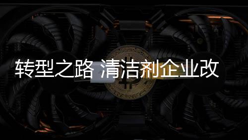 正是转型之路这样的论断