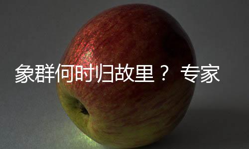 比如之前的象群昼伏夜出