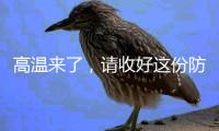 高温来了
	，请收好这份防御指南