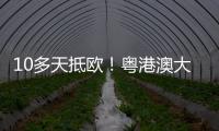 10多天抵欧！粤港澳大湾区首条中欧班列电商快线开通
