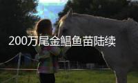 200万尾金鲳鱼苗陆续游进大海	！预计产出1000吨！