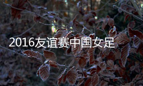 杨丽机警抢点头槌冲顶破门